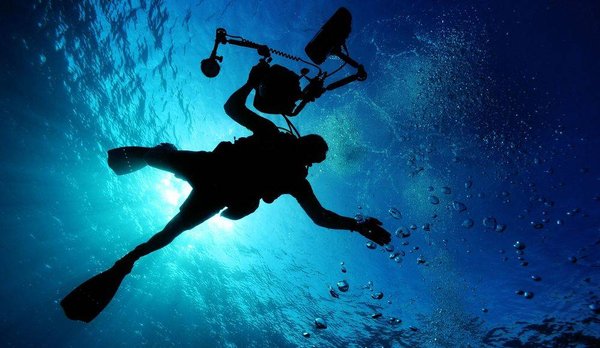 Explorer le monde sous-marin avec Club Diving à Hyères