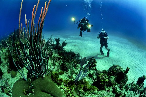 Découvrez le club de plongée incontournable à Hyères : vivez une expérience unique sous l'eau avec DivinGiens