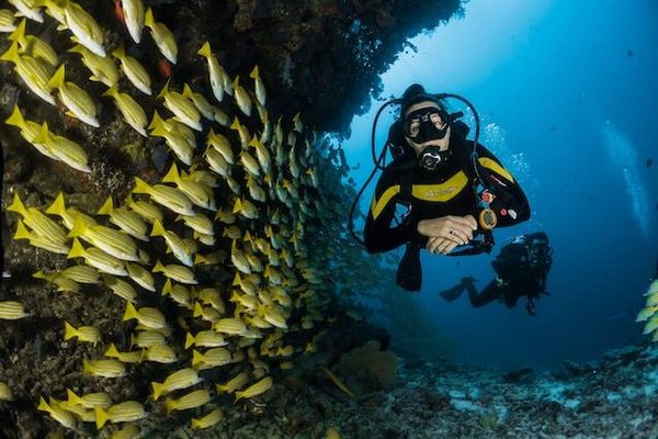 Plongez dans l'aventure avec un club de plongée à Hyères